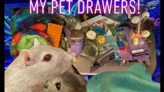 How I organize my Gerbil, Fish and other rodent supplies
