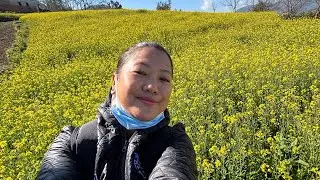 तोरि बारिमा रमाउदै 💚💛 प्राकृतिक सुन्दरता ले भरिपूर्ण #naturelovers #keepsupporting #makwanpur 