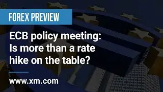 Forex Preview: 25/10/2022 - ECB policy meeting: Is more than a rate hike on the table?
