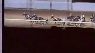 Breeders Crown 1990 - Peace Corps / Stig H Johansson