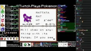 TPP Chatty Yellow - Checking Chatot's Dex Entry