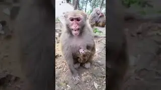 एक मां अपने बच्चे को first step चलने में बच्चे की मदद करते हुए।
