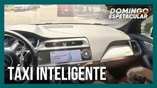 Veja como funcionam os táxis que operam sem motorista
