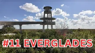 3 Days in Everglades National Park - Here's Everything We Did