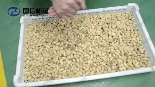 Peanut heat pump drying machine