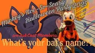 What's your bat's name???? MNSSHP 2025