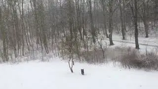 Heavy Snow in Copenhagen, Denmark