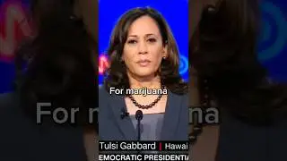 Tulsi Gabbard destroys woke 