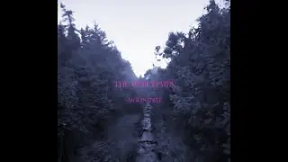 Matterless Shadows (The Which?men)