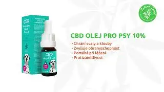 🐾CBD olej pro psy - doporučuje Hana Bohme
