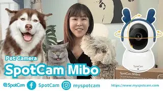 SpotCam Mibo PetCam - Unboxing and Setup Step By Step Tutorial