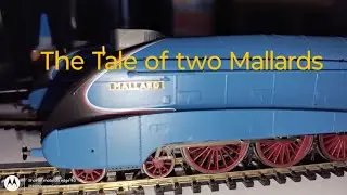The Tale of 2 Mallards.