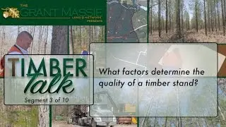 Timber Talk:  What factors determine the quality of a timber stand? (3 of 10)