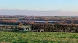 Nene Valley, Great Doddington (Feb&rsquo;26)