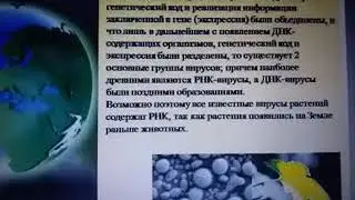 Эволюция вирусов