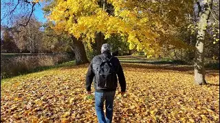 Goldener Herbst im Schlosspark Griebenow