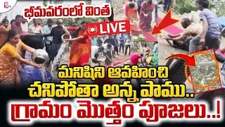 LIVE🔴: Kamathalapalli Shocking Snake Incident | చనిపోతా అని ముందే చెప్పిన పాము | Bhimavaram | West
