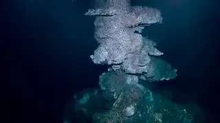 Endeavour Field: Bambi Hydrothermal Vent | Nautilus Live