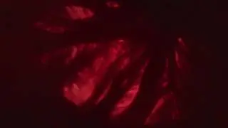 'Alien: River of Pain' Trailer | An Audible Original Drama