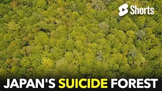 The Mysterious Suicide Forest #124