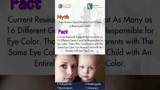 Myths vs. Facts | How to Truly Care for Your Eyes