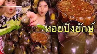 หอยปังตัวใหญ่ๆอวบๆลวกจิ้ม น้ำจิ้มรสเด็ด กินไปด้วยลุ้นไปด้วย  |เขยอุบลคนกาฬสินธุ์