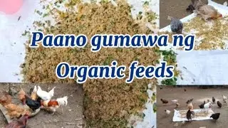 Paano gumawa ng Organic feeds
