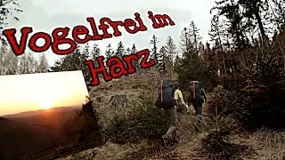 Biwakfliegen im Harz: 