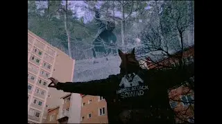 Horse Attack Sqwad -  Kaunis p&auml;iv&auml;