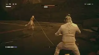 JingFeng (Age 75/No Damage) Master Difficulty - SIFU