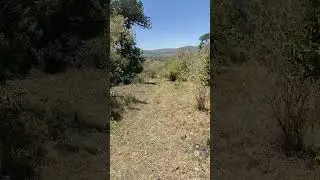 therapeutic trailS #nature