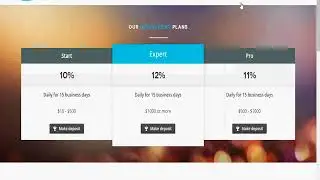 BitFinance LTD