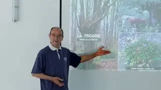 Agroforesterie : les trognes par Dominique MANSION