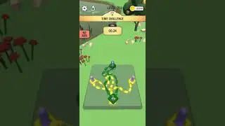 Go Knots 3D - Challenge Level 8 - Slow and easy to see moves