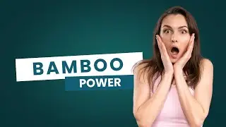 Bamboo Power | The Green Gold Transforming Environment, Economy and Future Business