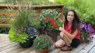 Late-Season Containers / Culture automnale en contenant