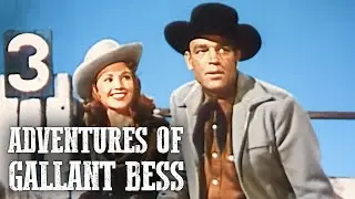 Adventures of Gallant Bess | Cameron Mitchell | Western