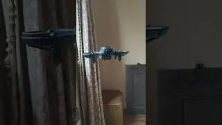 Mini Drone D16 : You Don't Like To See Mosquitoes Flying 🥏🎮🦟😉