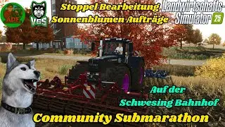 Community Submarathon Tag 18 | LS25 Stoppelbearbeitung auf der Schwesing Bahnhof 🔴Live🔴