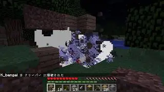 MinecraftMemories.mp4