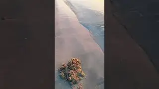 #nature #mrexplorer