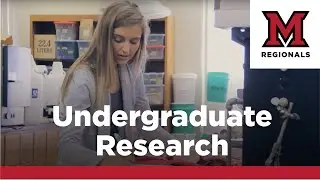 Undergraduate Research: Hyperspectral Remote Sensing Software
