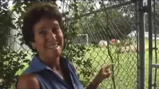 Animal Connection, The Show