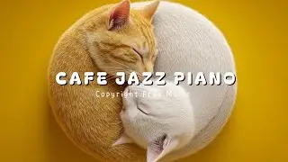 𝙋𝙞𝙖𝙣𝙤 𝙋𝙡𝙖𝙮𝙡𝙞𝙨𝙩 I До-Ре-Мяу ~ Где ступали мягкие лапки 🐾