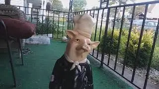 Meet Chaime