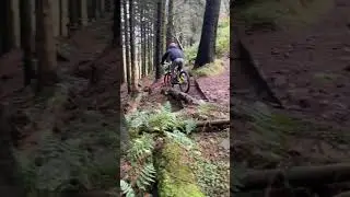 Few clips from macc forest a while back #mtb #iamspecialized #mtbdh #downhill
