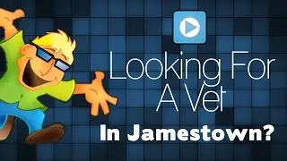 Find a Vet Near Me In Jamestown NY