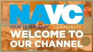 Your Go-To Channel for Veterinary Professionals: NAVC Training, Tips, and Podcasts
