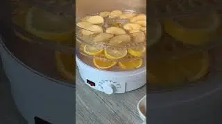 Let&rsquo;s make dried fruit tea! 🍊🍋🍎 #shorts #driedfruits