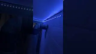 LED lights that light up with noise